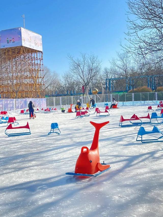 梦幻世界！北京这些地方大雪已就位！只等你来嗨玩——