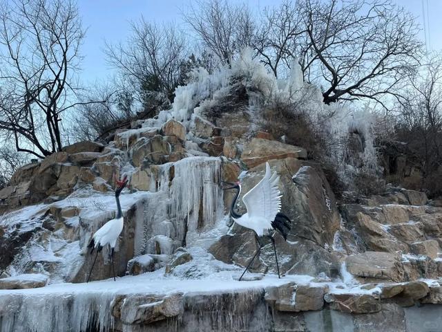 梦幻世界！北京这些地方大雪已就位！只等你来嗨玩——