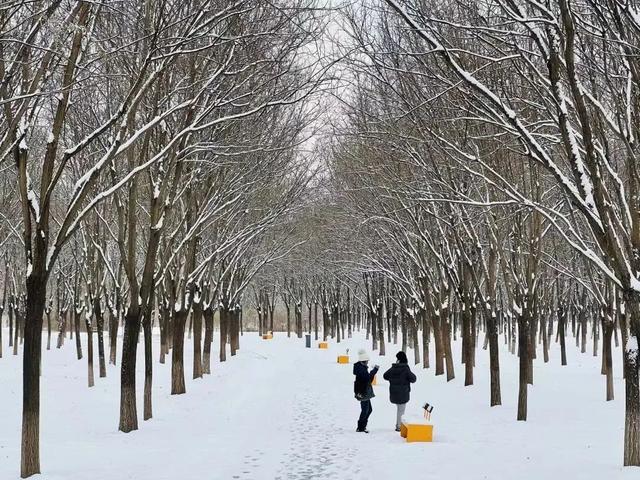 梦幻世界！北京这些地方大雪已就位！只等你来嗨玩——