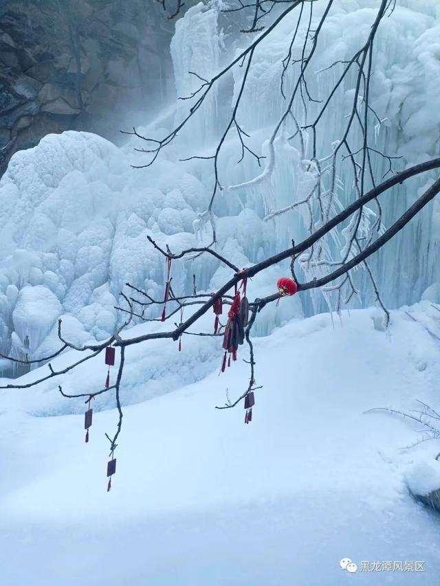 梦幻世界！北京这些地方大雪已就位！只等你来嗨玩——