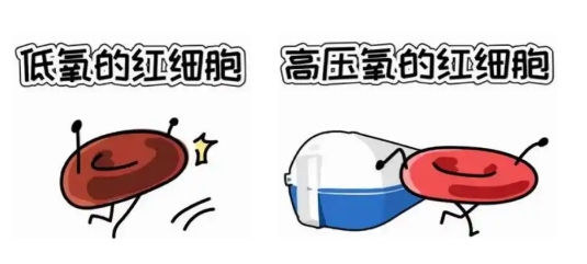 【汤医科普】高压氧治疗——为生命赋氧，为康复赋能