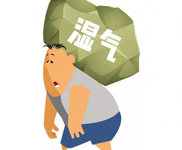 【汤医科普】湿气大作战：中医打败“百病之源”的秘诀！