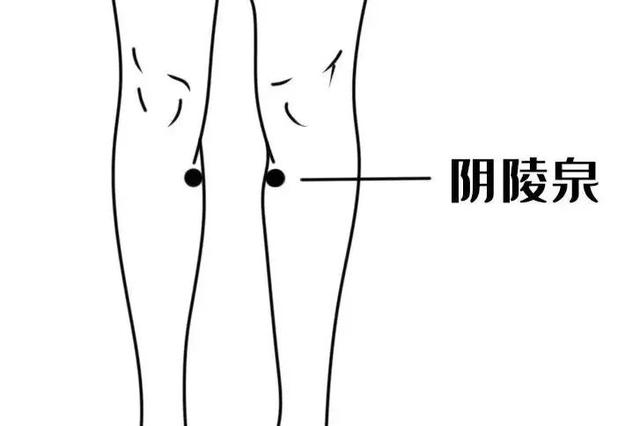 【汤医科普】湿气大作战：中医打败“百病之源”的秘诀！