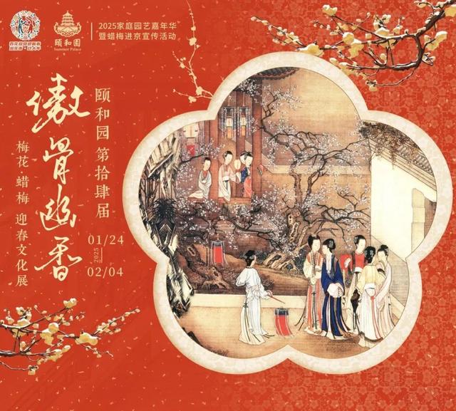 美翻了！北京春节繁花似锦，牡丹、梅花、樱花、兰花全开了｜欢欢喜喜过大年