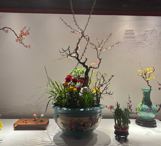 美翻了！北京春节繁花似锦，牡丹、梅花、樱花、兰花全开了｜欢欢喜喜过大年