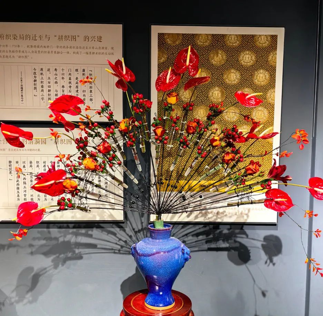 美翻了！北京春节繁花似锦，牡丹、梅花、樱花、兰花全开了｜欢欢喜喜过大年