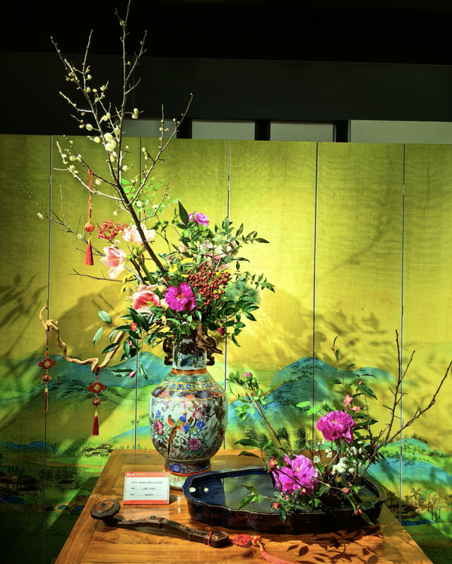 美翻了！北京春节繁花似锦，牡丹、梅花、樱花、兰花全开了｜欢欢喜喜过大年