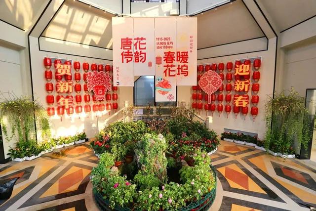 美翻了！北京春节繁花似锦，牡丹、梅花、樱花、兰花全开了｜欢欢喜喜过大年