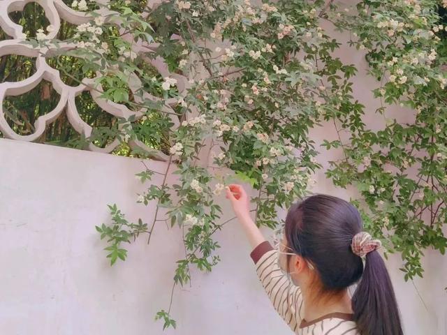 Passion！这两个团队，“研”值双拉满！