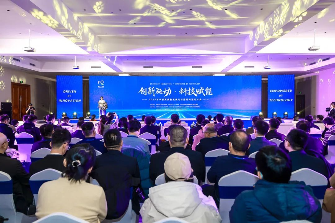 15个项目签约,22个地块推出!