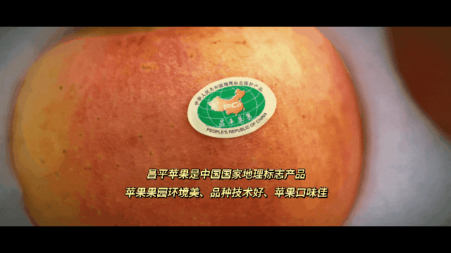 绝美！徒步北京隐藏版“桃花海” | 周末去哪