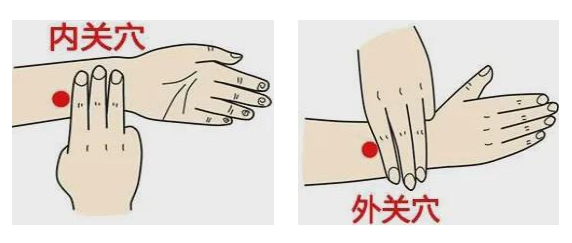 【汤医科普】春分养生，平衡阴阳