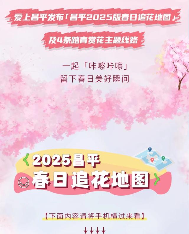 花海秘境！京郊这4条赏花线路，正在上演春日限定大片！