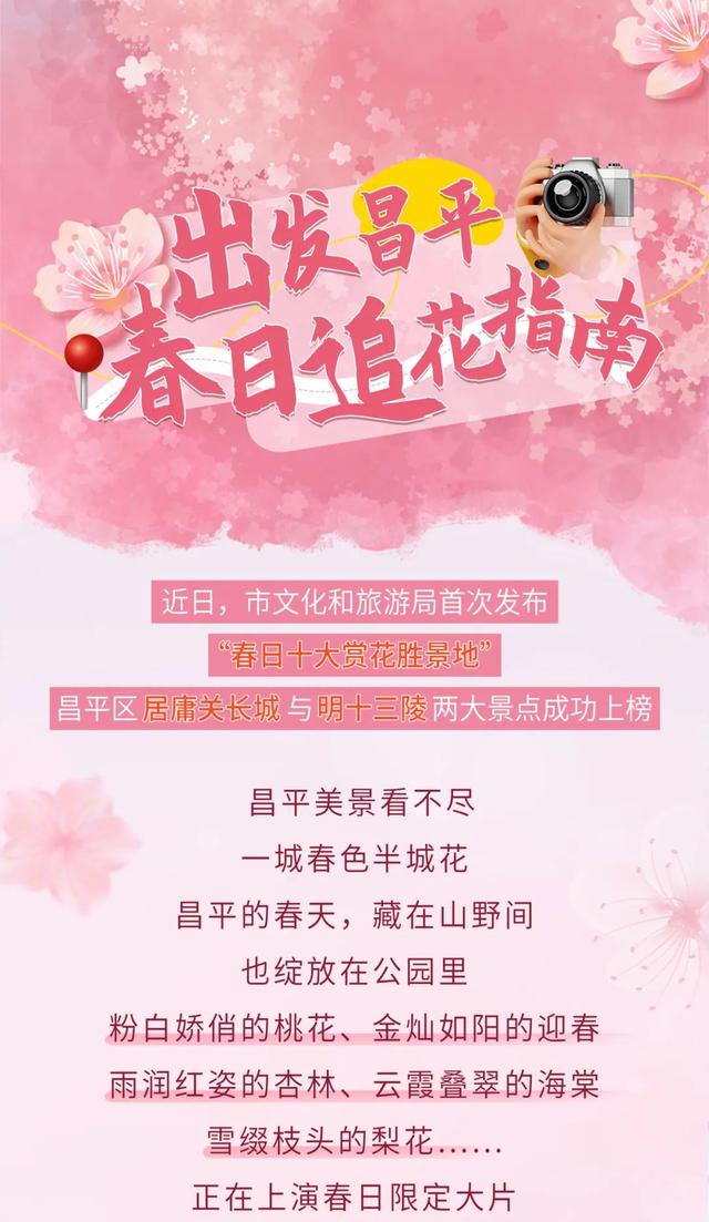 花海秘境！京郊这4条赏花线路，正在上演春日限定大片！