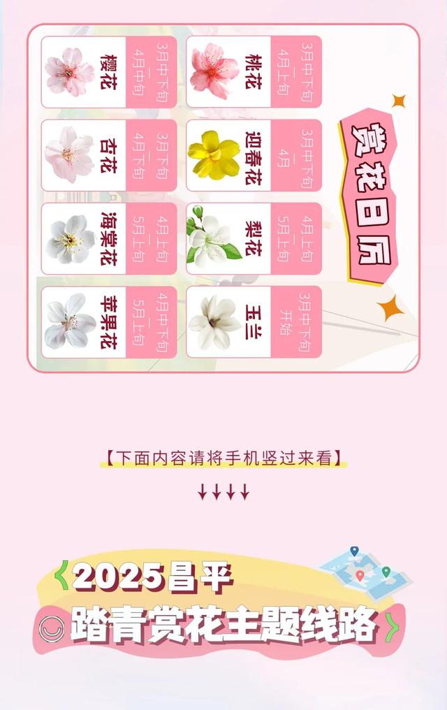 花海秘境！京郊这4条赏花线路，正在上演春日限定大片！