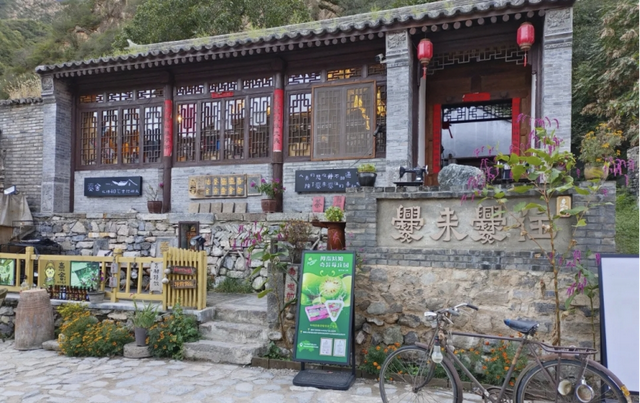 山桃花染透山脊！去500年明清古村“村咖”品尽人间烟火