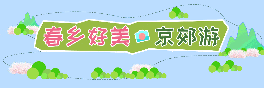 山桃花染透山脊！去500年明清古村“村咖”品尽人间烟火
