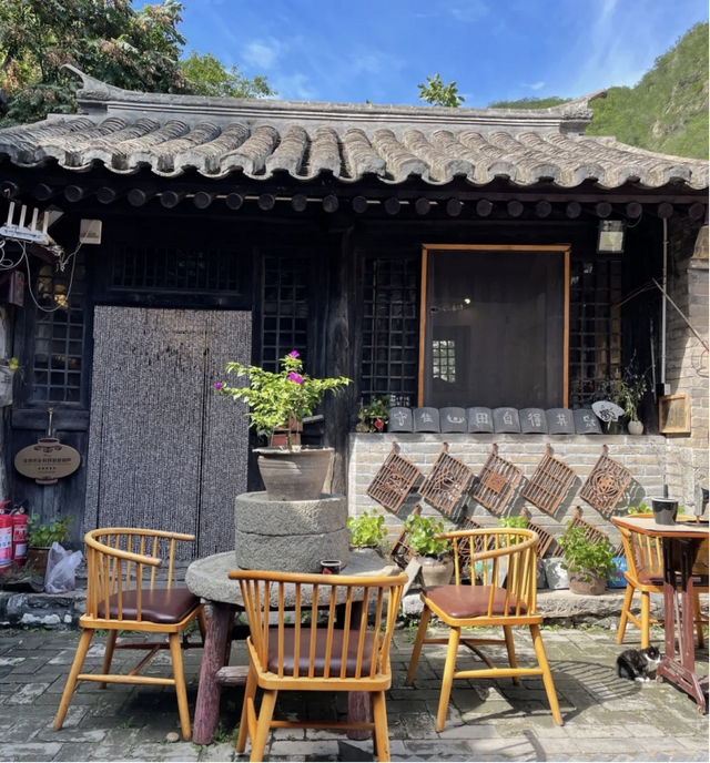 山桃花染透山脊！去500年明清古村“村咖”品尽人间烟火