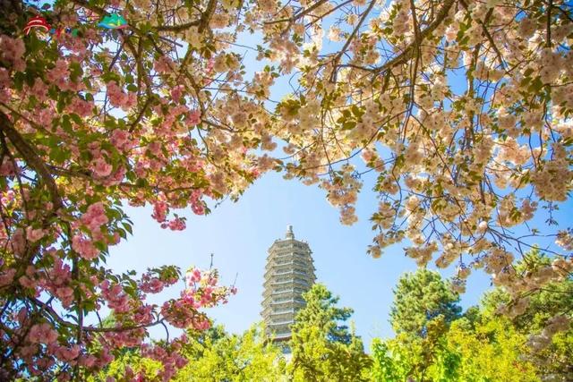 2025北京市文商旅体融合消费暨“一路繁花，走进房山”活动火热启动