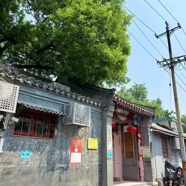 2025·520 爱的古树游线