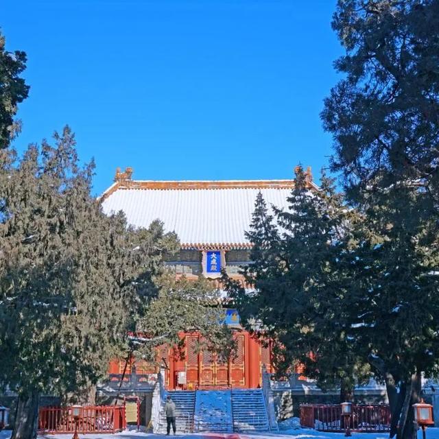 2025·520 爱的古树游线
