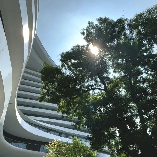 2025·520 爱的古树游线