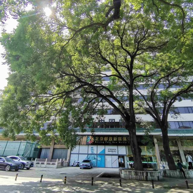 2025·520 爱的古树游线