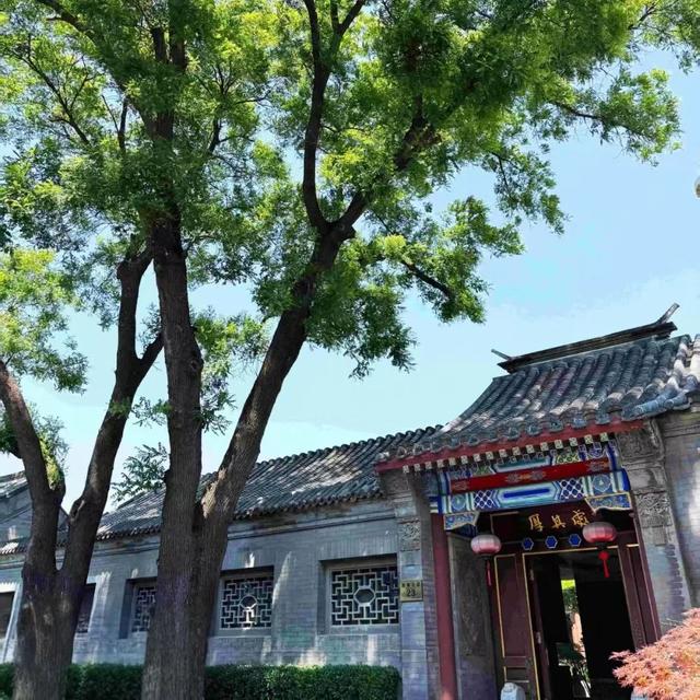 2025·520 爱的古树游线