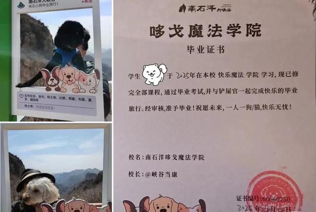 宠物友好！北京这些景区各有特色！这里狗狗还能免费玩跳圈！就在——