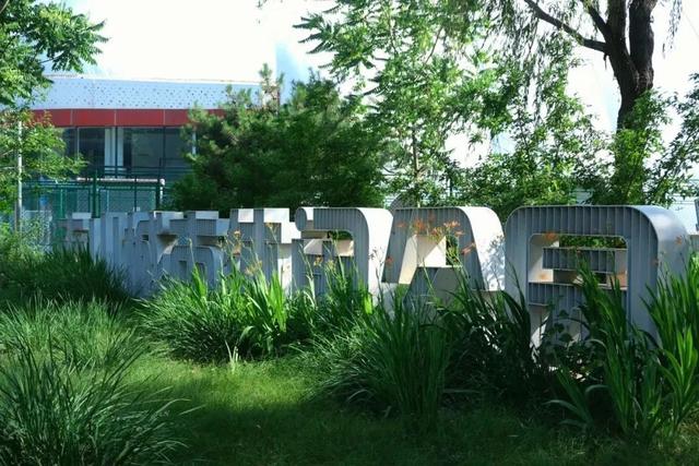 宠物友好！北京这些景区各有特色！这里狗狗还能免费玩跳圈！就在——