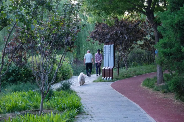 宠物友好！北京这些景区各有特色！这里狗狗还能免费玩跳圈！就在——