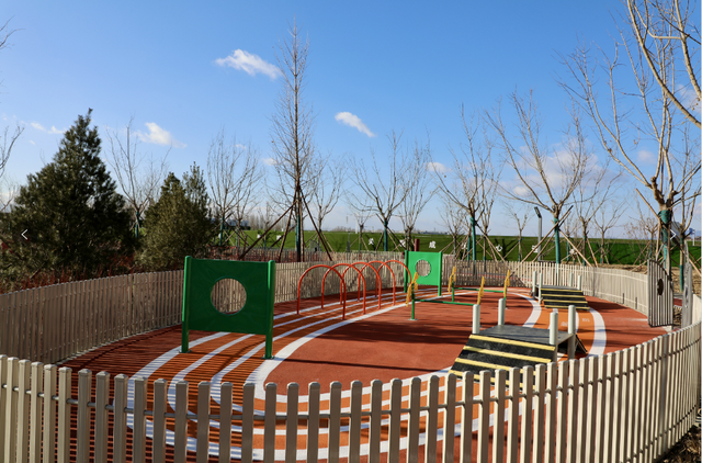 宠物友好！北京这些景区各有特色！这里狗狗还能免费玩跳圈！就在——