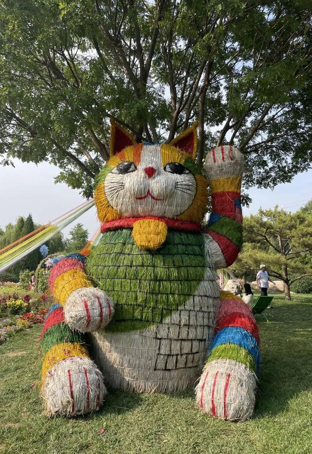 端午节，北京活动汇总来了——