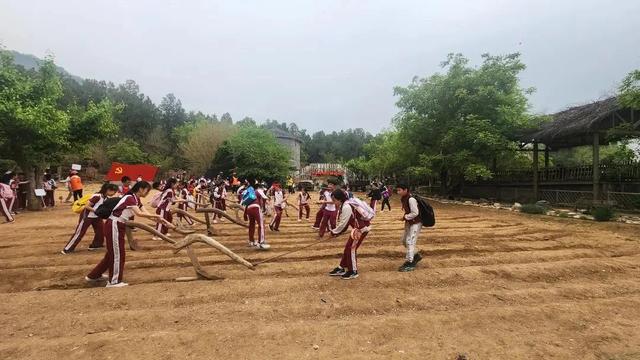 端午节，北京活动汇总来了——