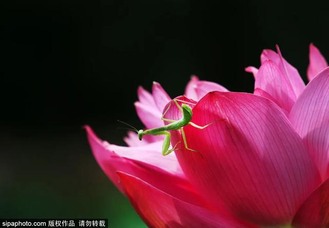 今天17时57分，正式迎来——