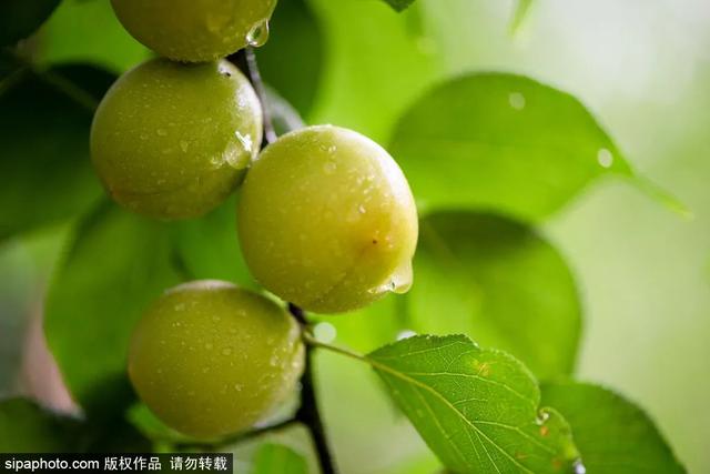 今天17时57分，正式迎来——