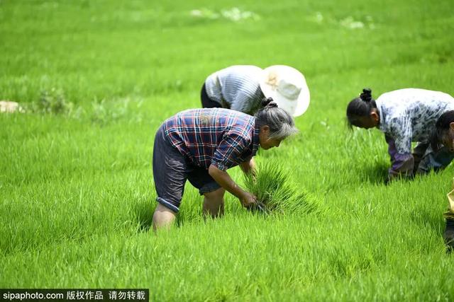 今天17时57分，正式迎来——