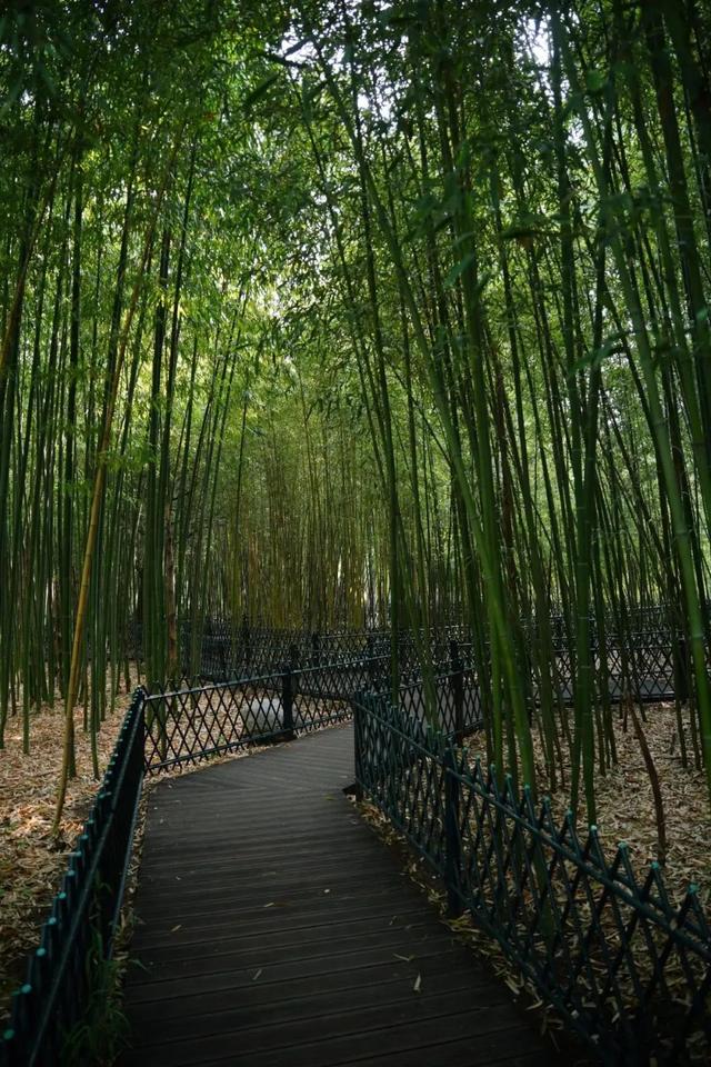 哇哦！在北京会移动的观景台上兜风，这很夏天