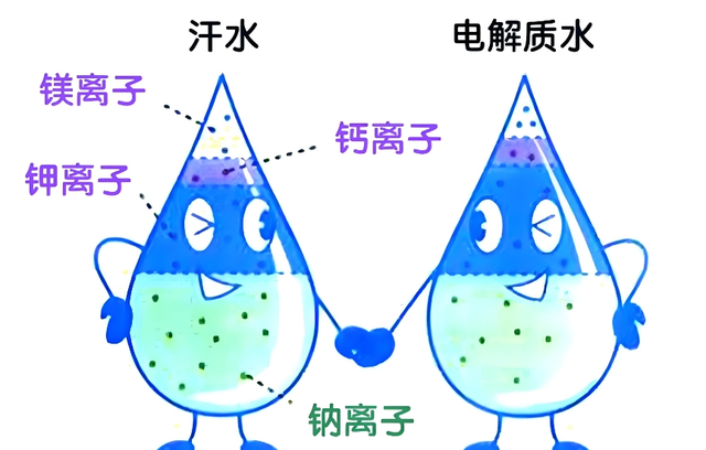 【汤医科普】聊聊“电解质水”