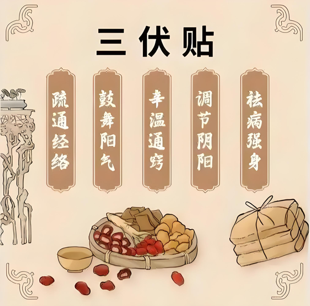 【汤医科普】老年呼吸系统疾病特色治疗——三伏贴