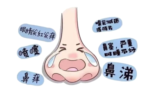 【汤医科普】老年呼吸系统疾病特色治疗——三伏贴