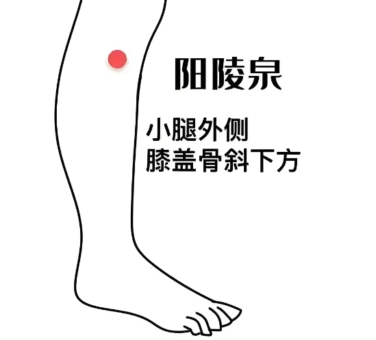 【汤医科普】小暑养生全攻略：茶饮清暑、穴位强身，助你安然度夏