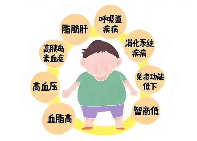 【健康管理】肥胖危害知多少