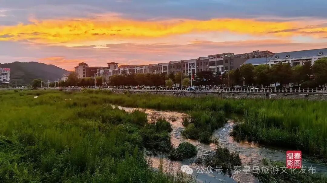 微信图片_2025-08-05_150332_718.jpg