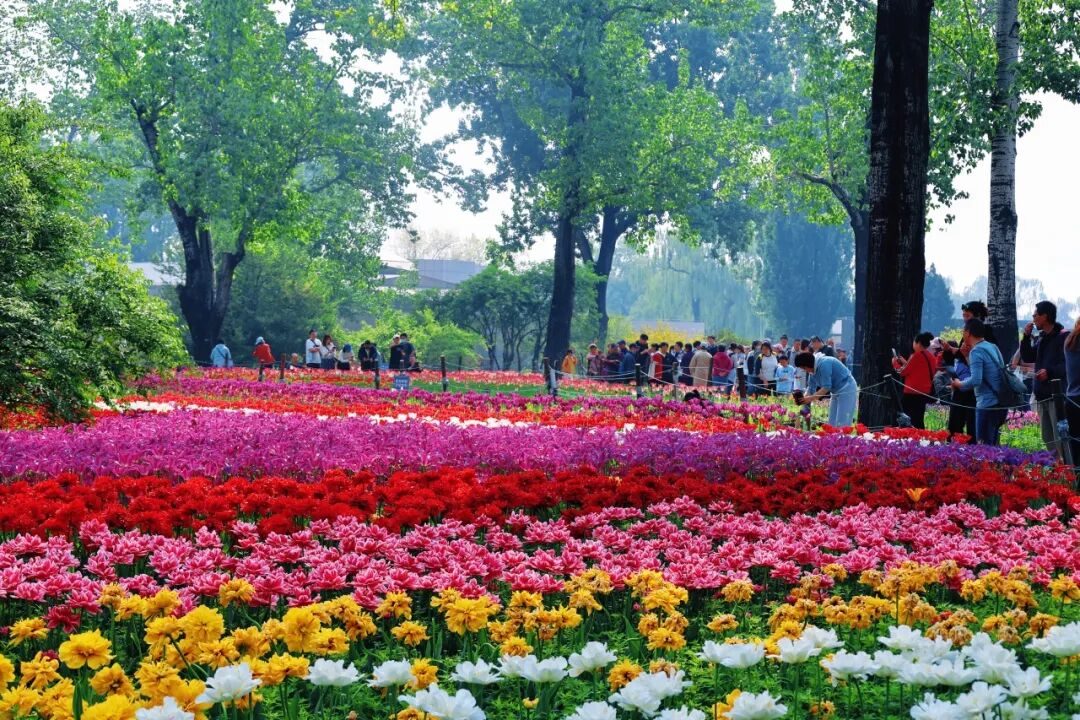 暮春花未尽,邂逅满园芳菲